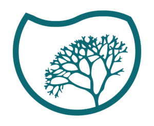 Mawimbi ocean innovations logo